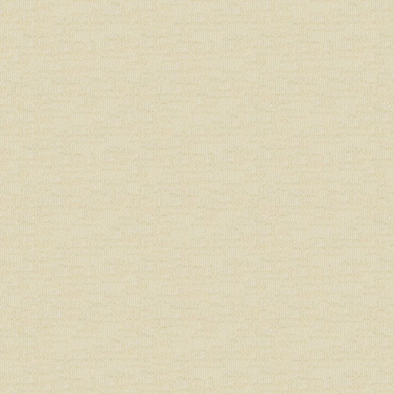 Template carpet by Dixie Home