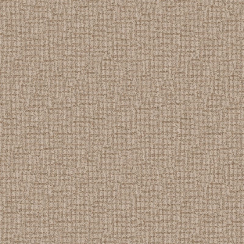 Template carpet by Dixie Home