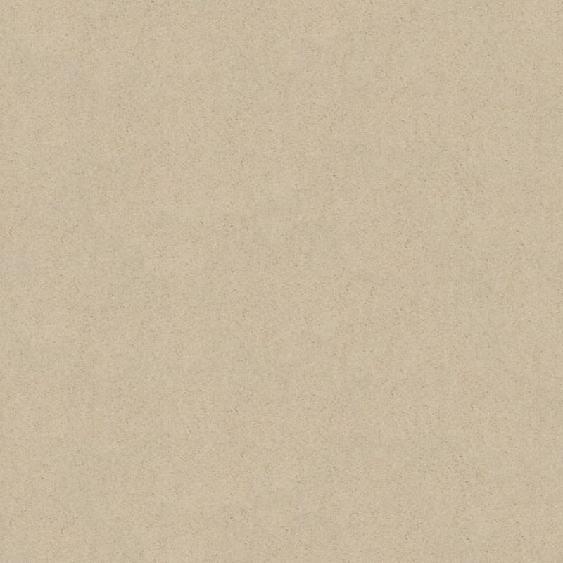 Soft & Silky carpet by Dixie Home