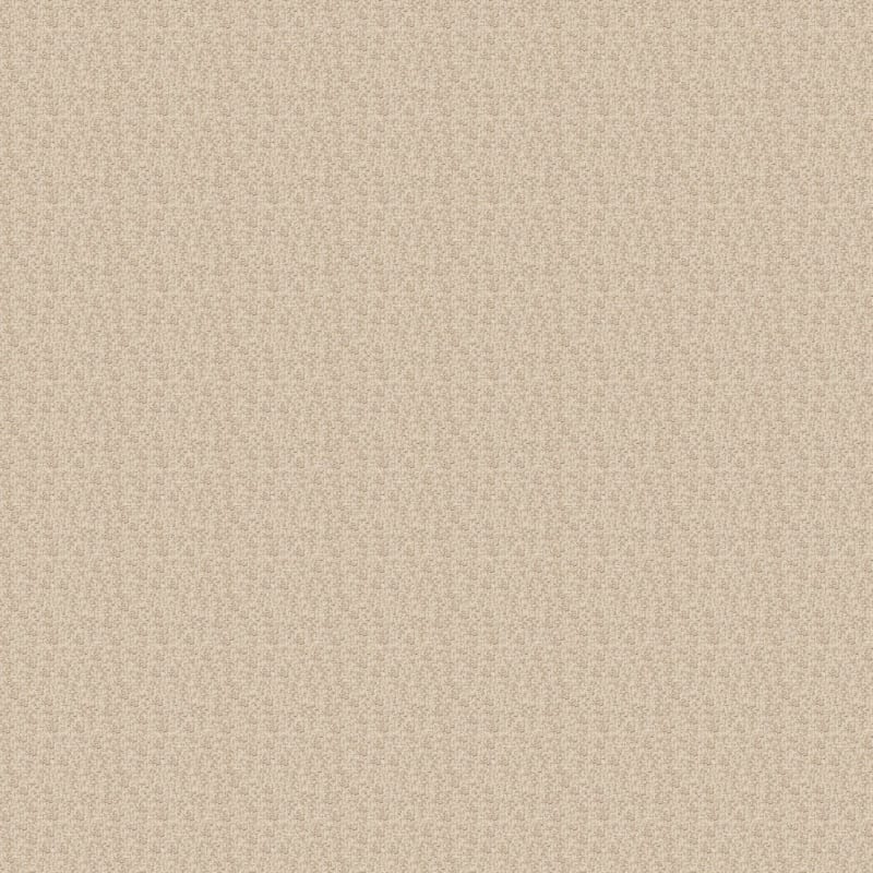 Aspects carpet by Dixie Home