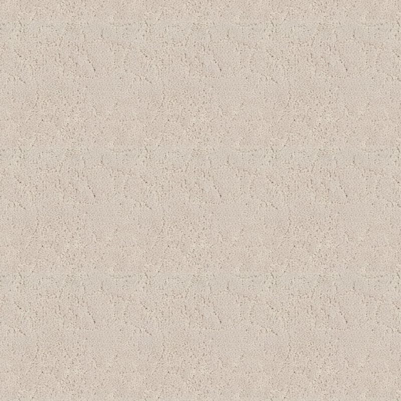 Shelter carpet by Dixie Home