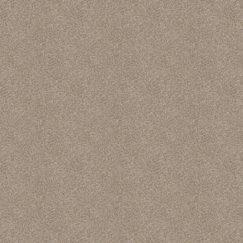 Shepherd carpet by Dixie Home