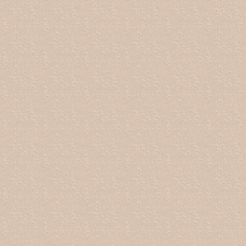 Attributes carpet by Dixie Home