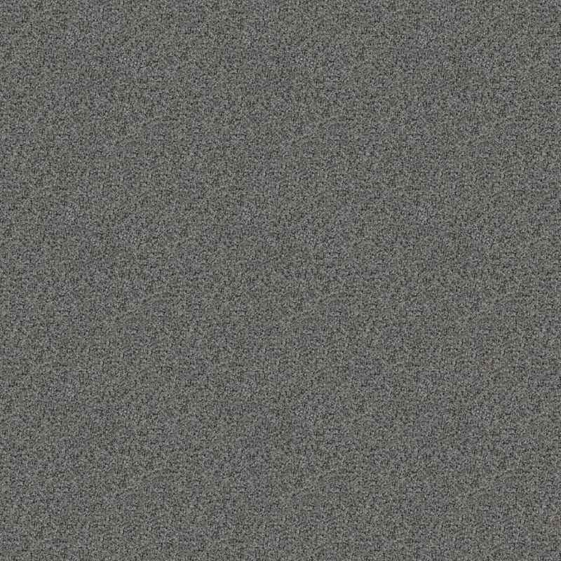 Shepherd carpet by Dixie Home