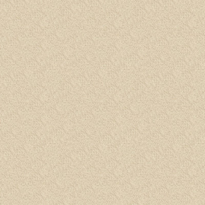 Spirit carpet by Dixie Home