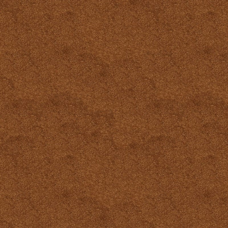 Soft & Silky carpet by Dixie Home