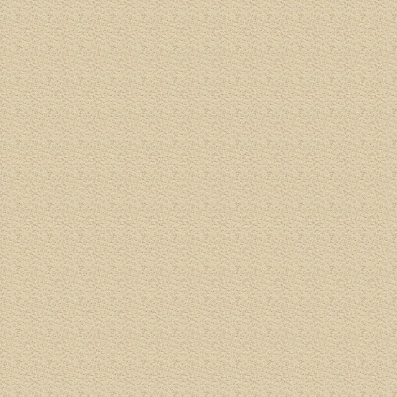Katie's Comfort carpet by Dixie Home