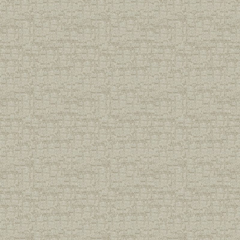 Template carpet by Dixie Home