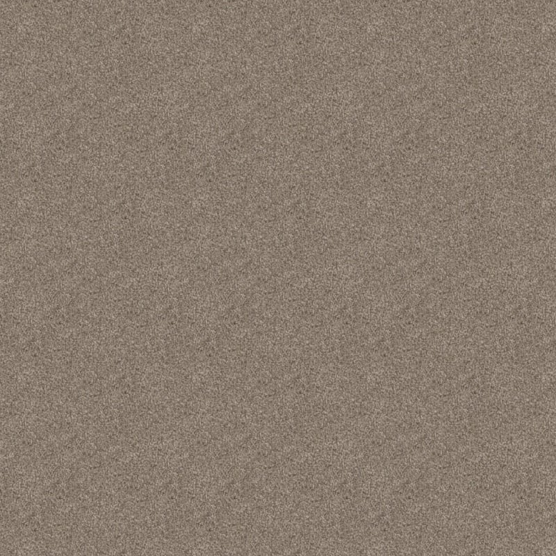 Labrador carpet by Dixie Home