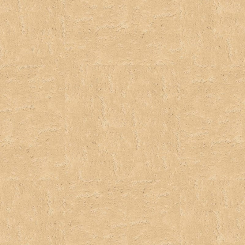 Classic Demeanor carpet by Dixie Home