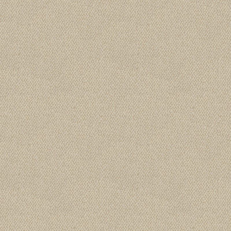 Authentic Living carpet by Dixie Home
