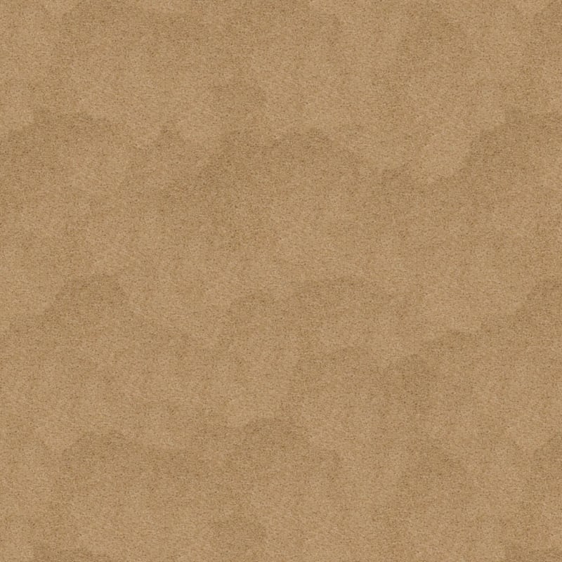 Soft & Silky carpet by Dixie Home