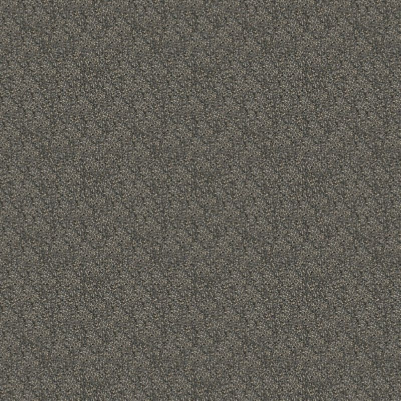 Big Idea carpet by Dixie Home