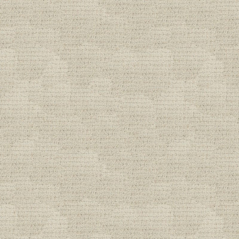 Mindful carpet by Dixie Home