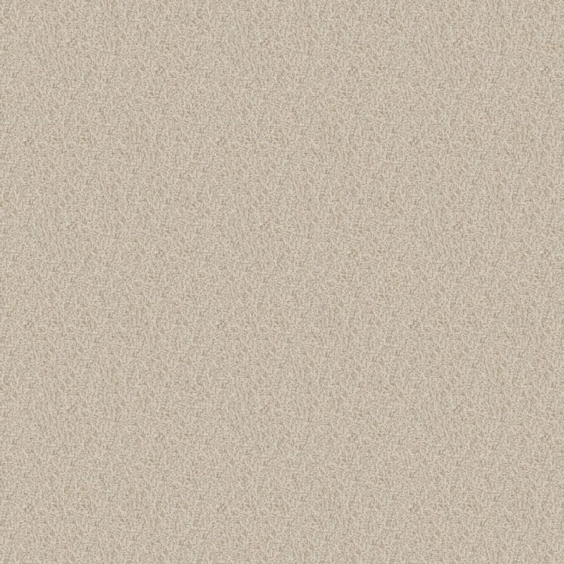 New Age carpet by Dixie Home