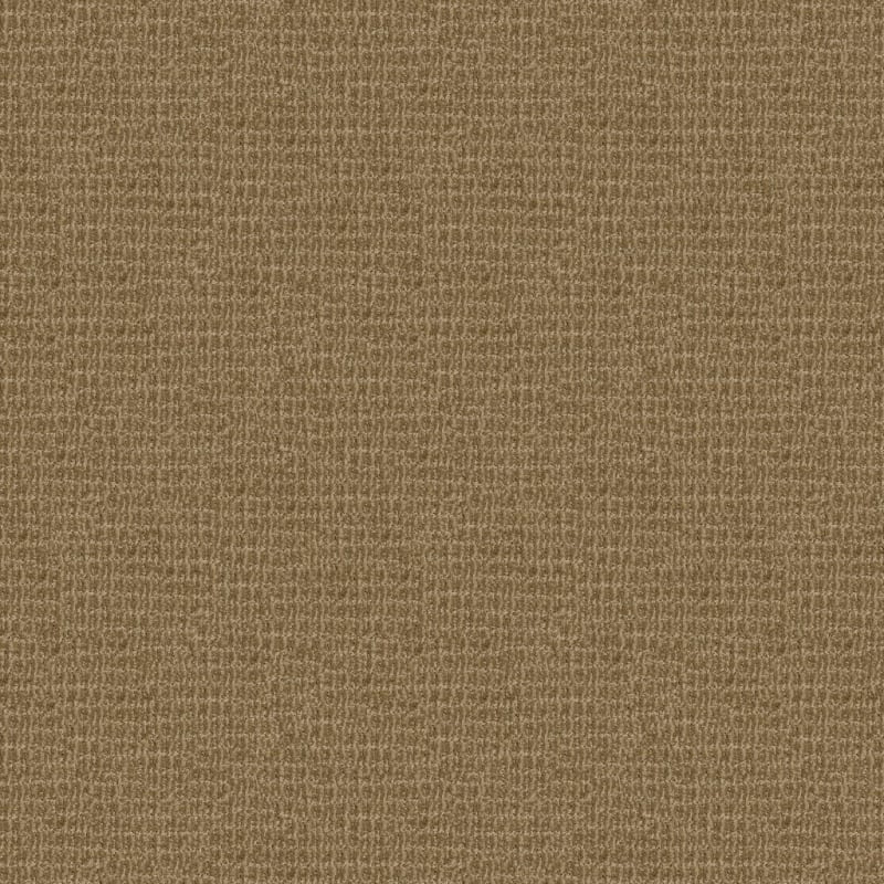 Yucatan carpet by Dixie Home