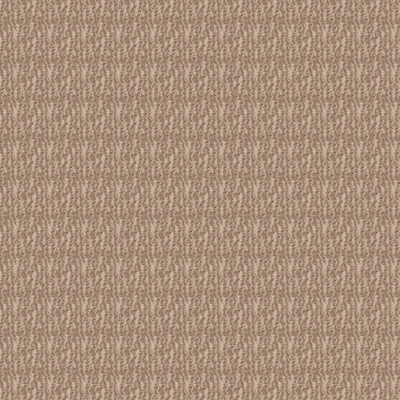 Inviting carpet by Dixie Home