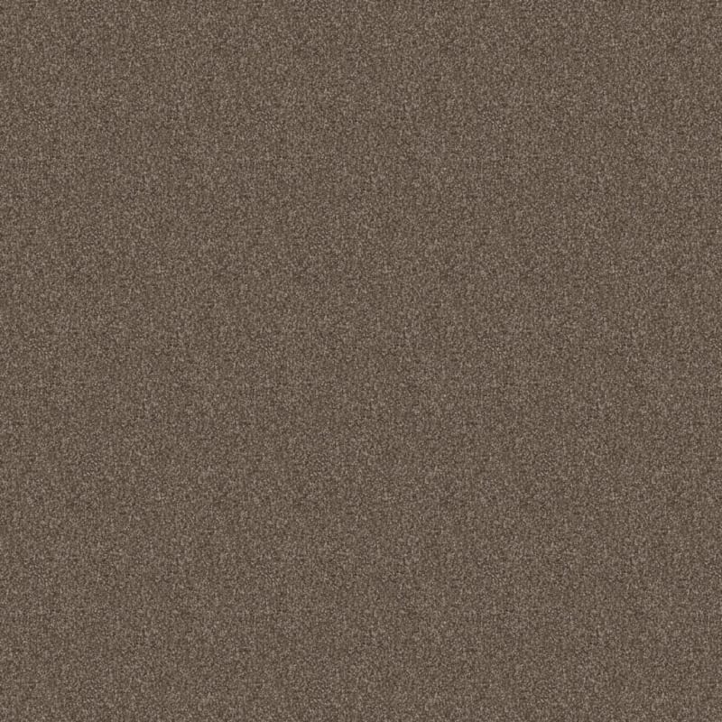 Labrador carpet by Dixie Home
