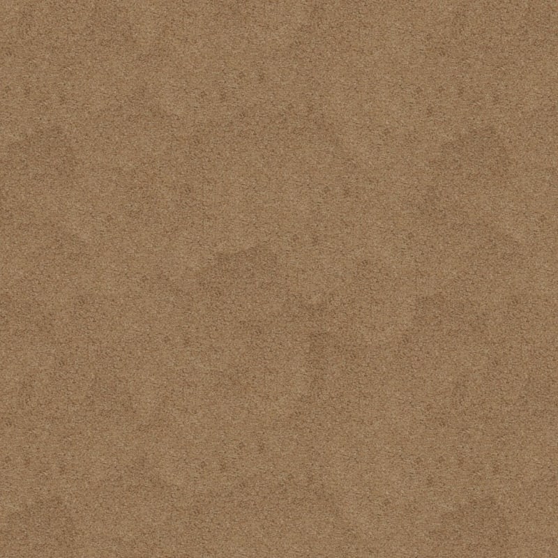 Soft & Silky carpet by Dixie Home