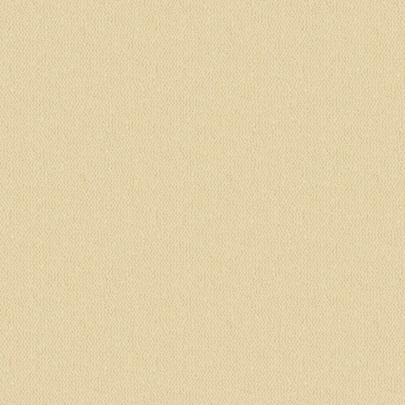 Hideaway carpet by Dixie Home