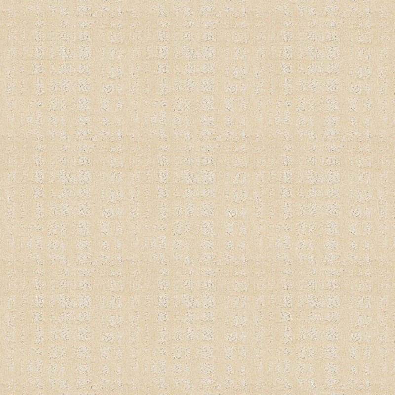 Willow Lake carpet by Dixie Home