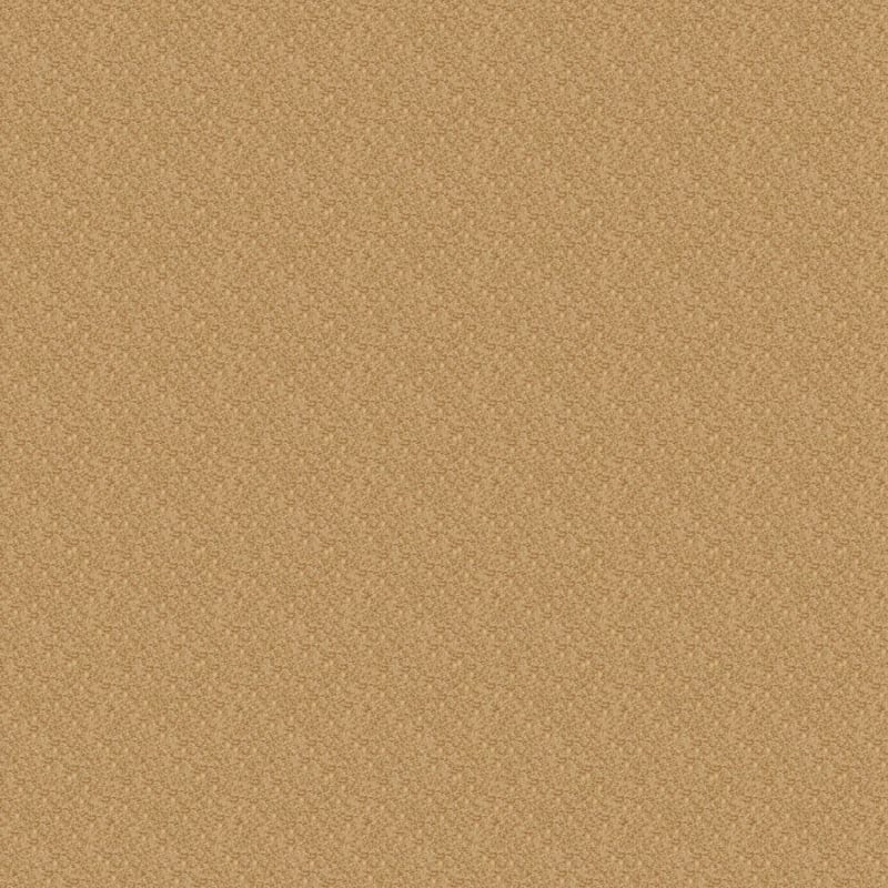 Innovations carpet by Dixie Home