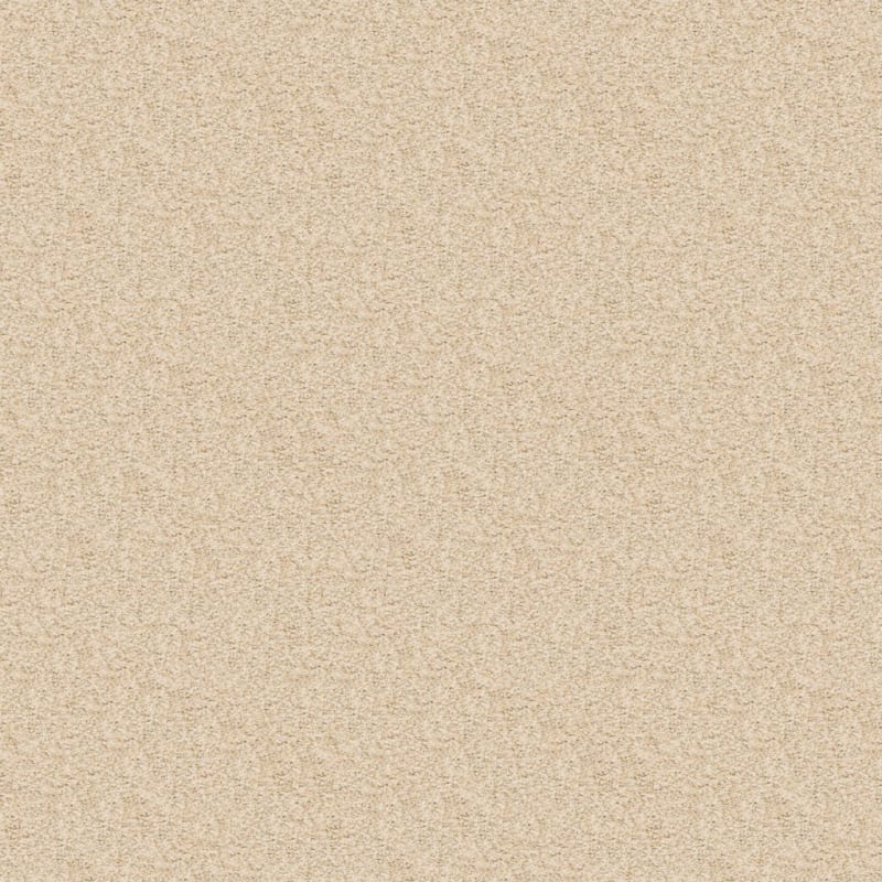 Rochelle carpet by Dixie Home