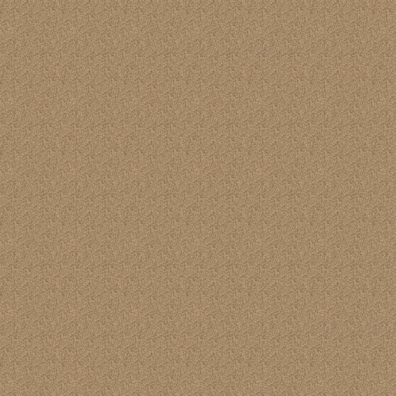 Innovations carpet by Dixie Home