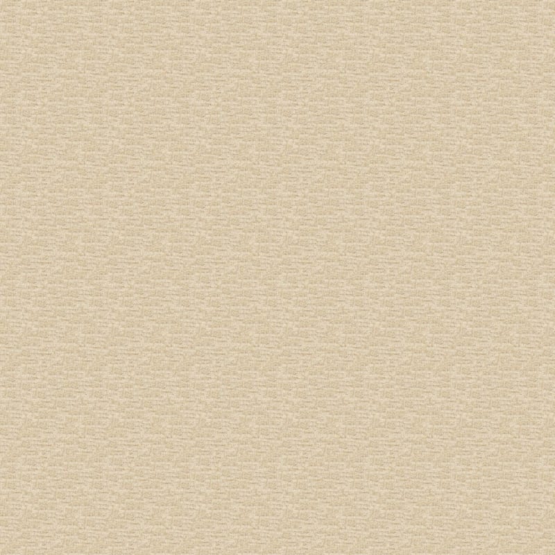 Expressions carpet by Dixie Home
