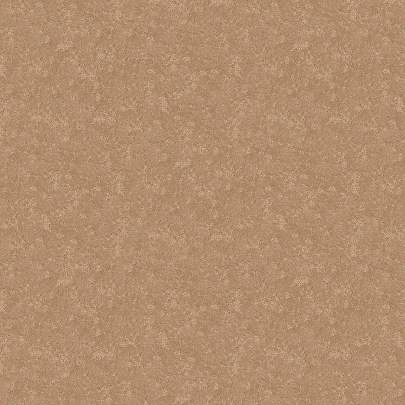 Classic Demeanor carpet by Dixie Home