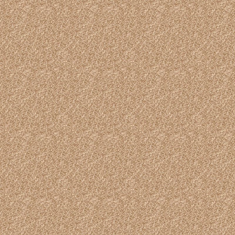 Delight carpet by Dixie Home