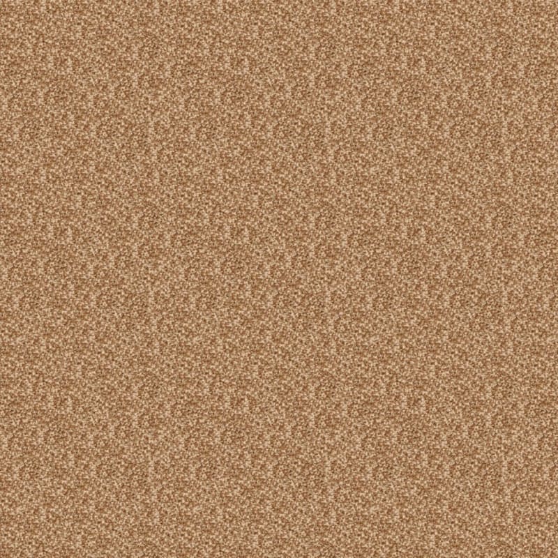 Cozy carpet by Dixie Home