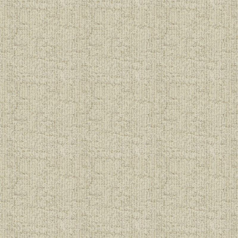 Victor carpet by Dixie Home
