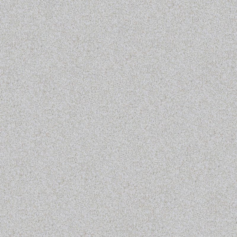 Top Dog carpet by Dixie Home