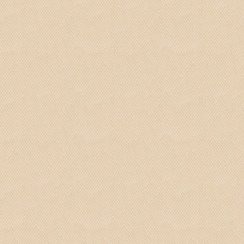 Larson carpet by Dixie Home
