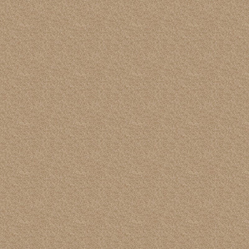 Heart's Content carpet by Dixie Home