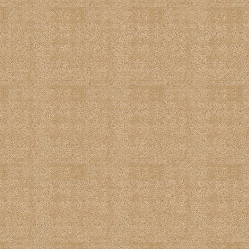 My Style carpet by Dixie Home