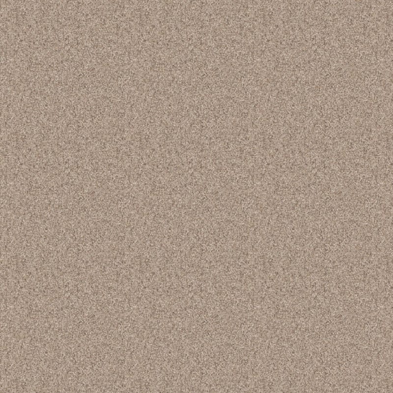 Affection carpet by Dixie Home