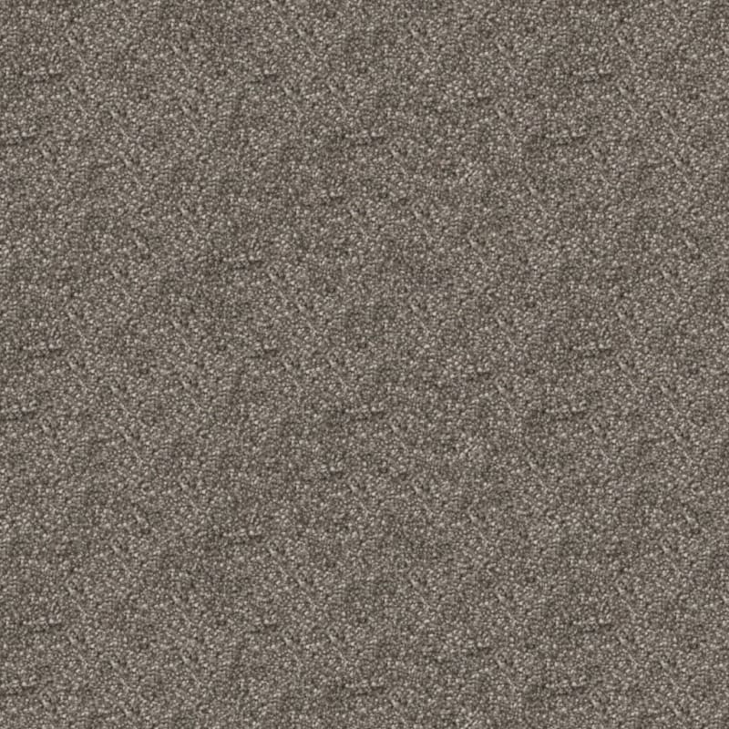 Dx169 carpet by Dixie Home