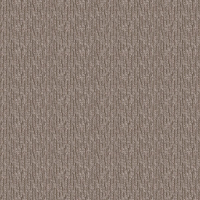 Inviting carpet by Dixie Home