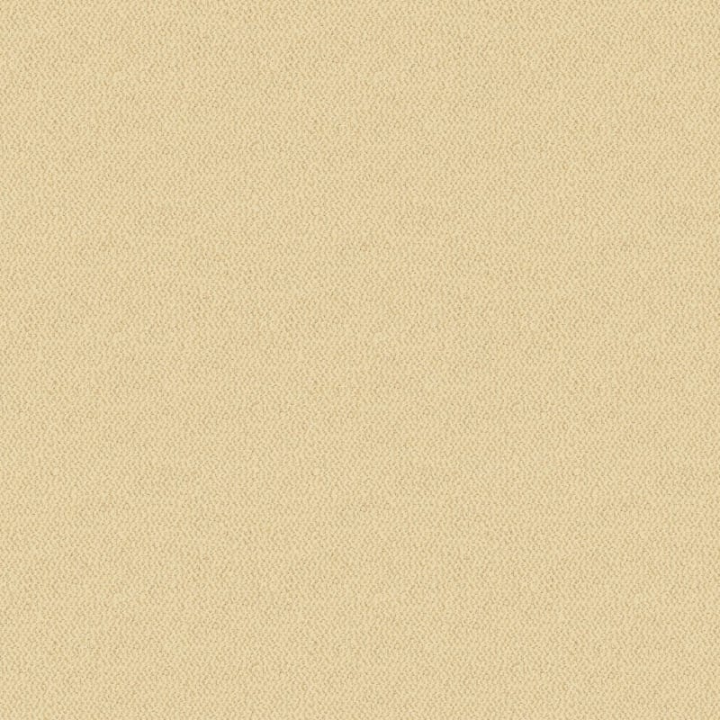 Hideaway carpet by Dixie Home