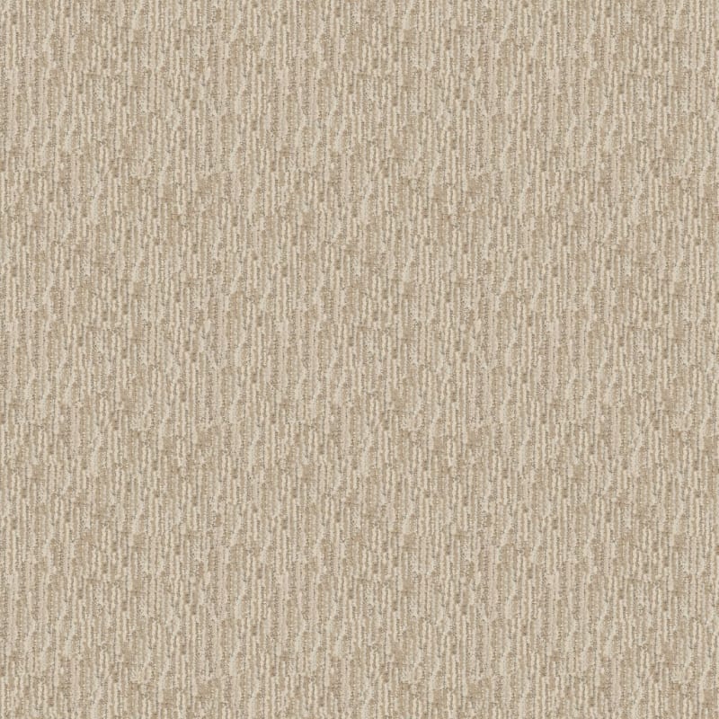 Envy carpet by Dixie Home