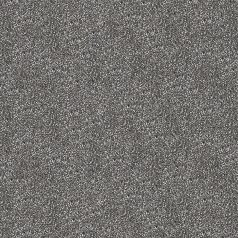Dx108 carpet by Dixie Home