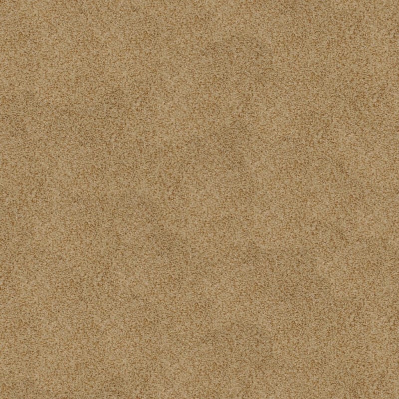 Soft & Silky carpet by Dixie Home