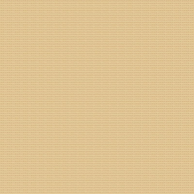 Rock Creek carpet by Dixie Home