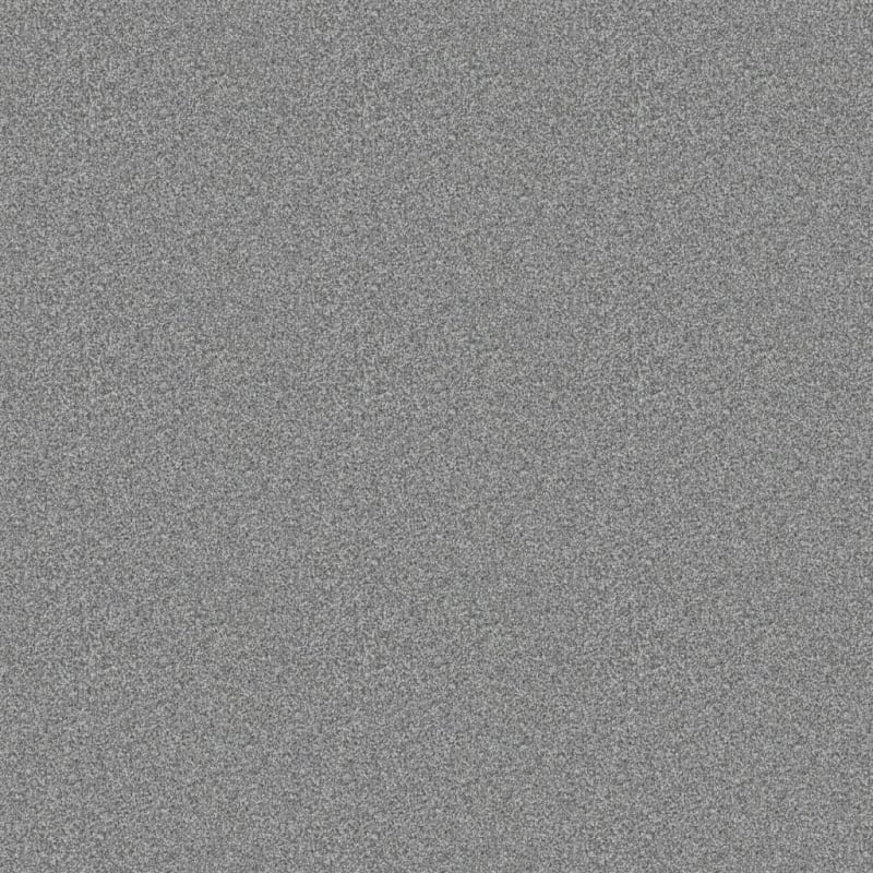 Adore carpet by Dixie Home