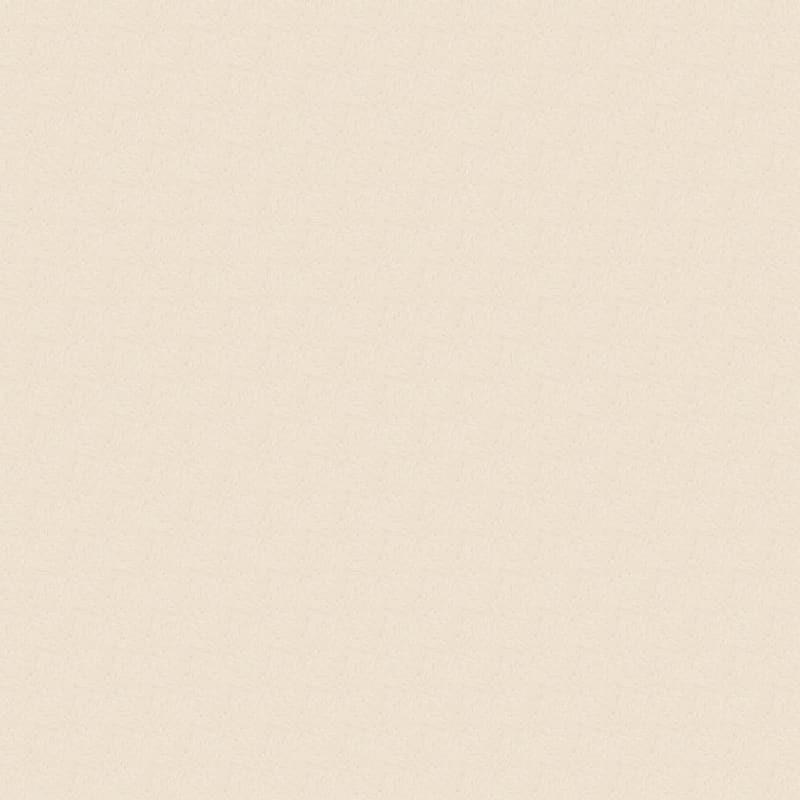 Classic Demeanor carpet by Dixie Home