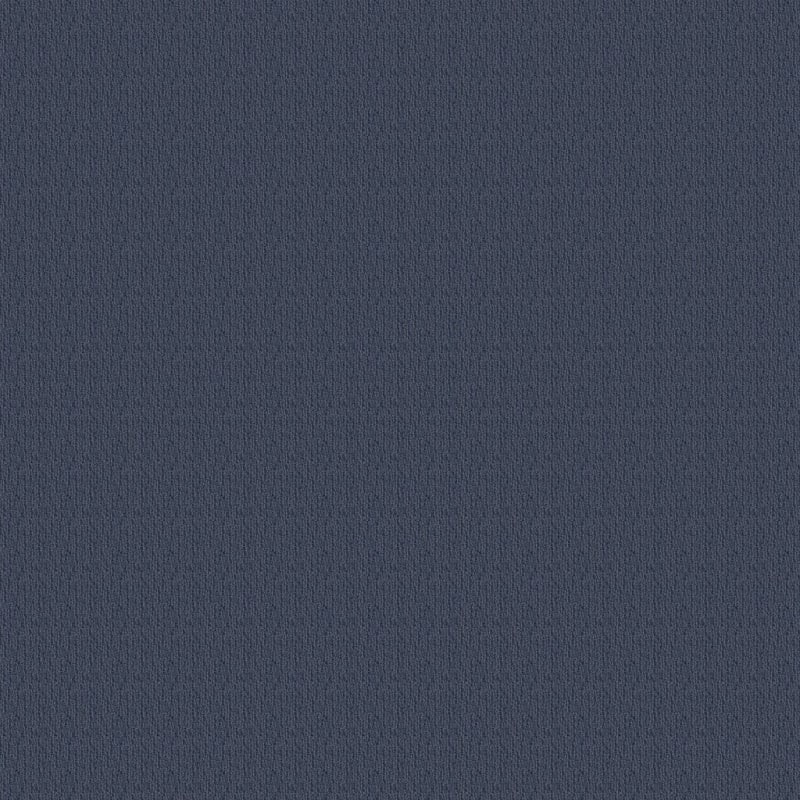 Smash Hit carpet by Dixie Home