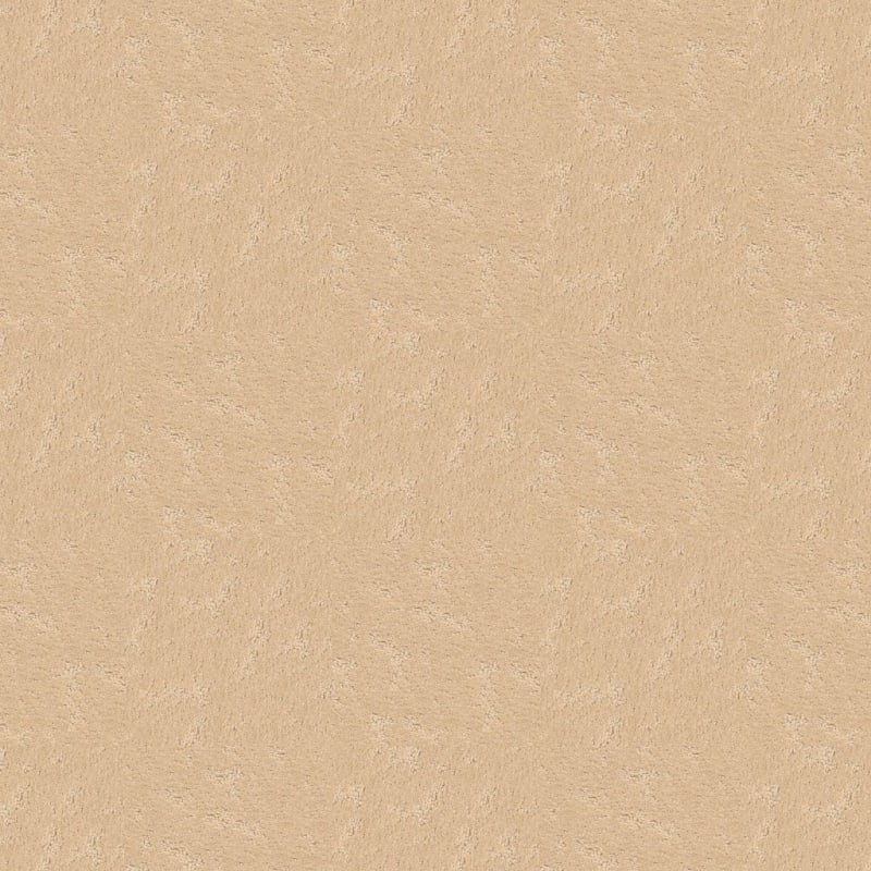 Classic Demeanor carpet by Dixie Home