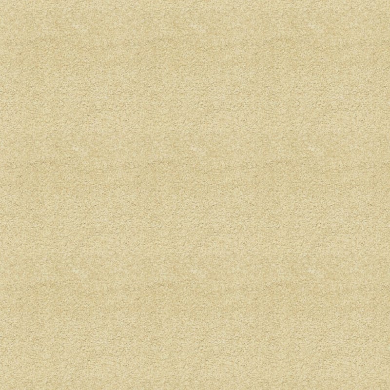 Maroon Bells carpet by Dixie Home
